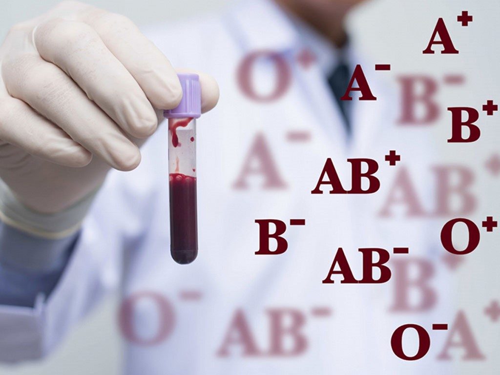 Những bí mật thú vị xung quanh nhóm máu B Rh+ 1