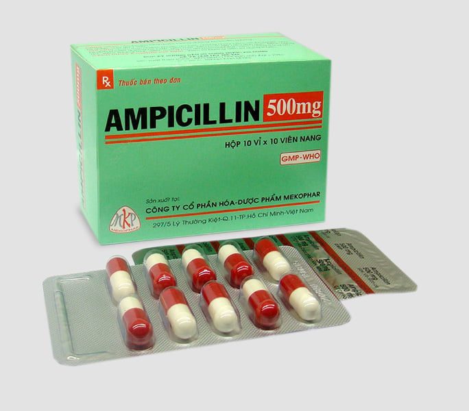 Những điều cần biết về dị ứng ampicillin 3