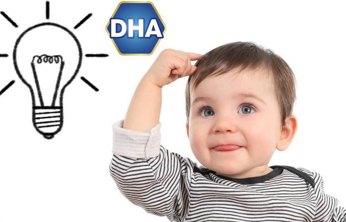 DHA là một chất quan trọng đối với sự hình thành và phát triển não bộ của thai nhi
