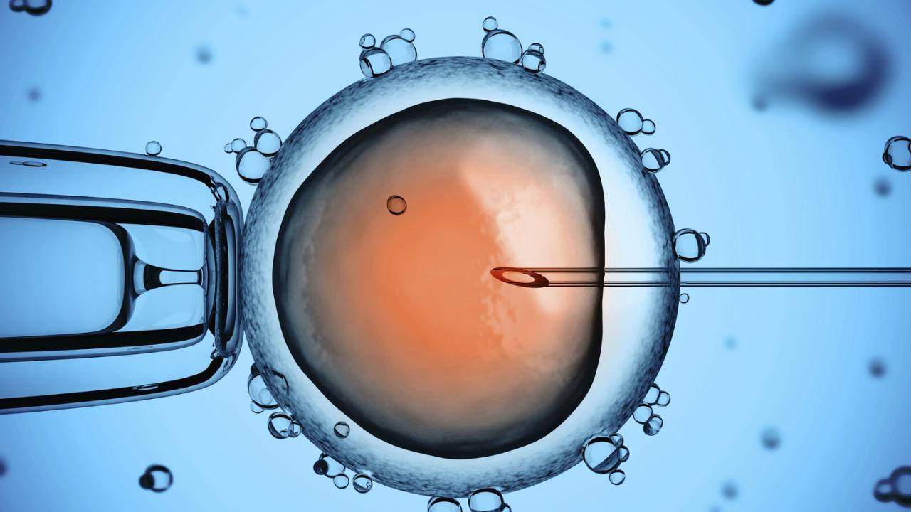 Đa nang buồng trứng có làm IVF được không? 4