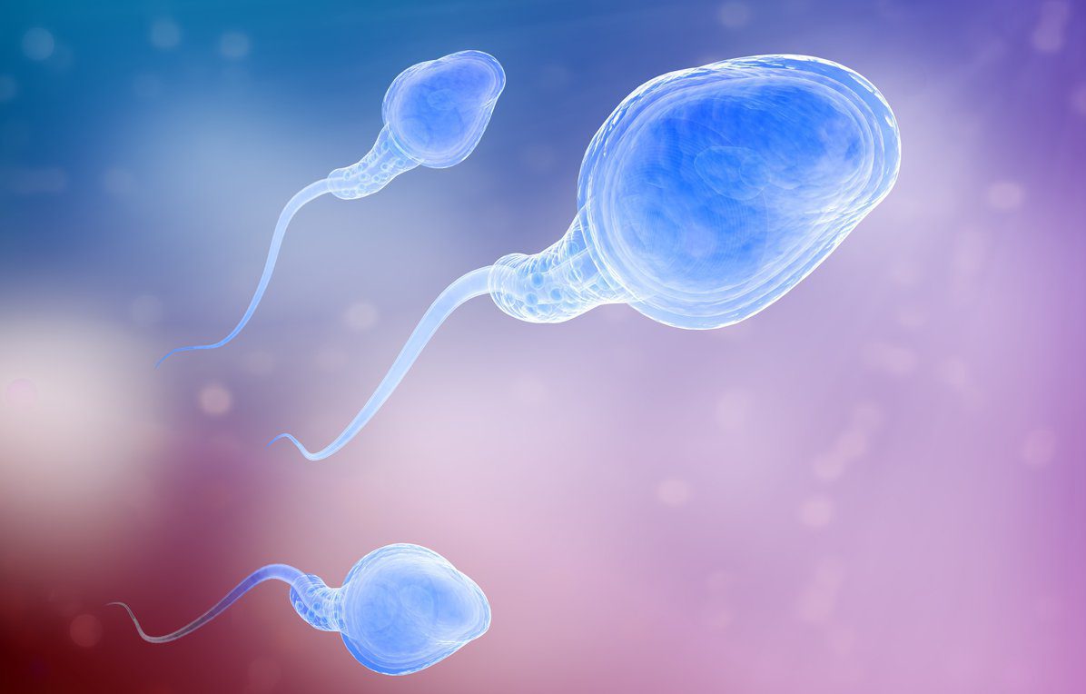 Tìm hiểu nên ăn gì để tinh trùng chết trong tử cung?