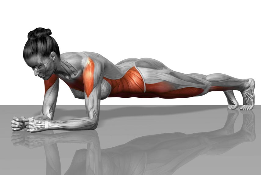 Tập plank là động tác tập luyện hỗ trợ giảm mỡ bụng và mỡ toàn thân