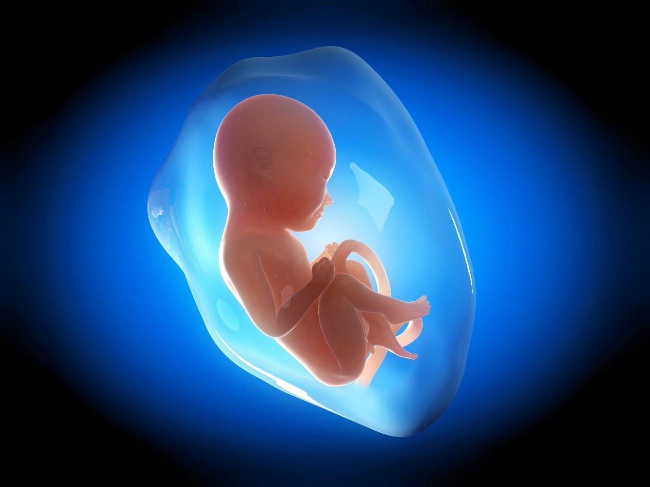 Thay đổi của cơ thể mẹ khi thai nhi 28 tuần là gì? Mẹ bầu nên lưu ý điều gì trong giai đoạn mang thai? 1