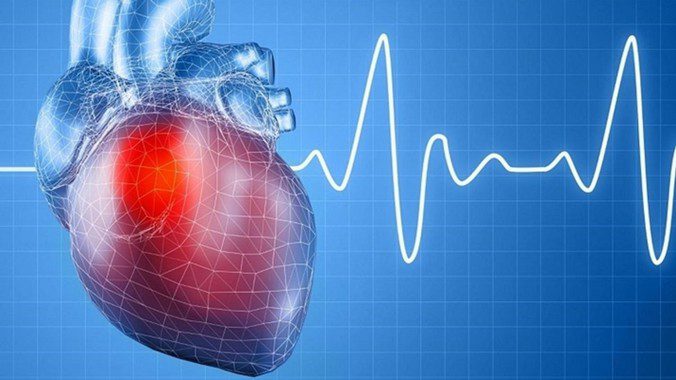 Nhịp tim bình thường của người già là bao nhiêu?