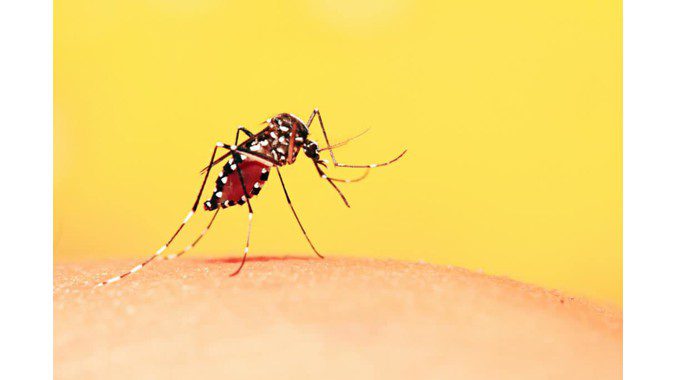 Các cấp độ của bệnh sốt xuất huyết