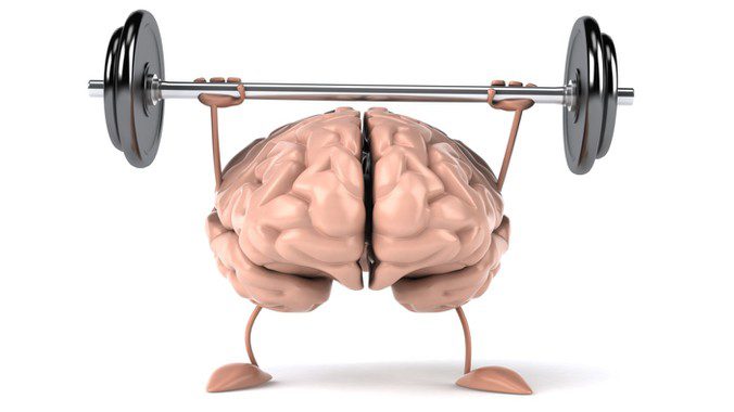 Tìm hiểu bán cầu não trái có chức năng gì 1
