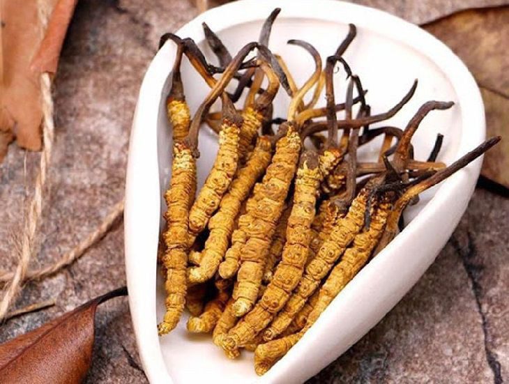 Dược liệu là gì? Tất tần tật thông tin về dược liệu hỗ trợ điều trị bệnh 3
