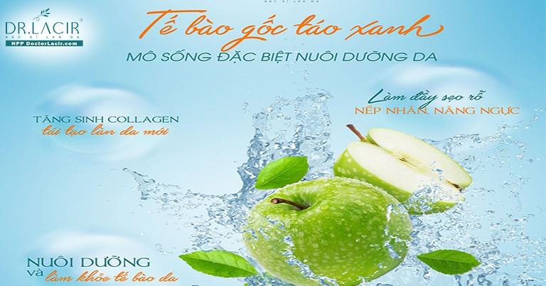 Chiết xuất táo xanh là gì và công dụng của nó trong làm đẹp