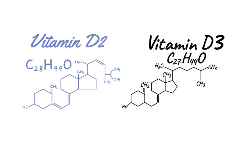 Tim hieu chi tiet ve su khac nhau giua vitamin